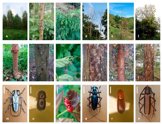 One earth. Different ecosystems